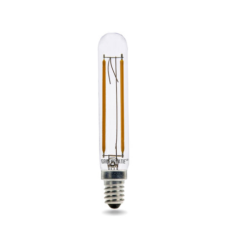 Invloed Tot flauw E14 LED Filament Buislampje T20 2W Warm Wit Dimbaar - Lamp #1